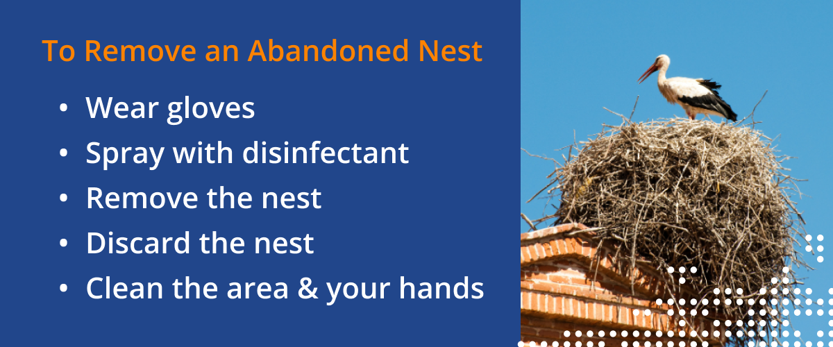 To remove an abandoned nest: wear gloves, spray with disinfectant, remove the nest, discard the nest, clean the area and your hands.