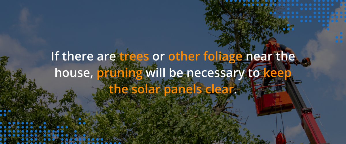 Man on extendable ladder trimming trees. Image text: If there are tress or other foliage near the house, pruning will be necessary to keep the solar panels clear.